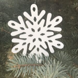 Snowflake (Design#5)