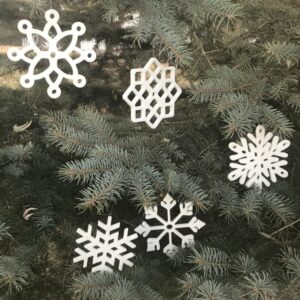 Snowflake (Set of 5)