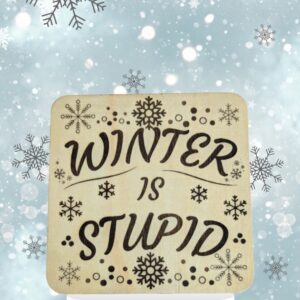 Winter is Stupid Wood Plaque 4″x4″ with Stand