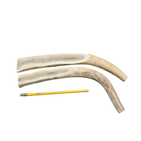 2XL Partial Split Antler Dog Chew