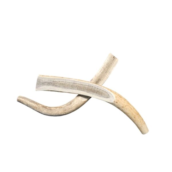 2XL Partial Split Antler Dog Chew