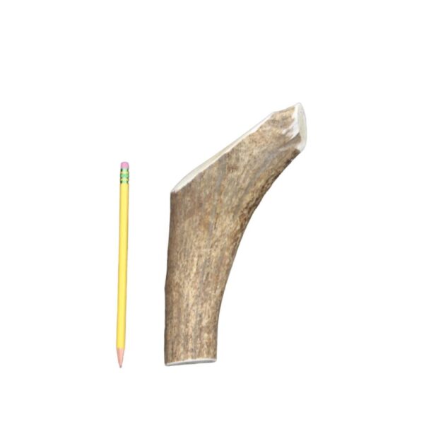 2XL Partial Split Antler Dog Chew