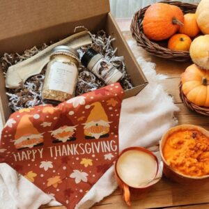 Thanksgiving Feast Drool Box