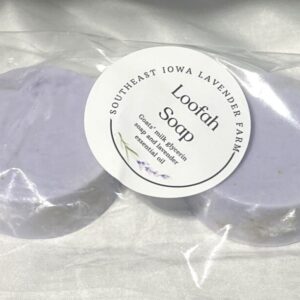 Lavender Goat Milk soap with Loofah (2 small round)