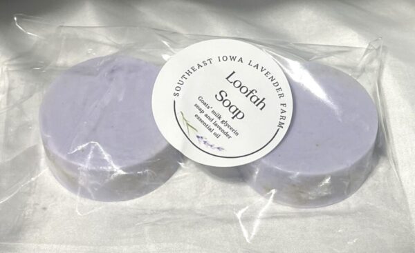 Lavender Goat Milk soap with Loofah (2 small round)