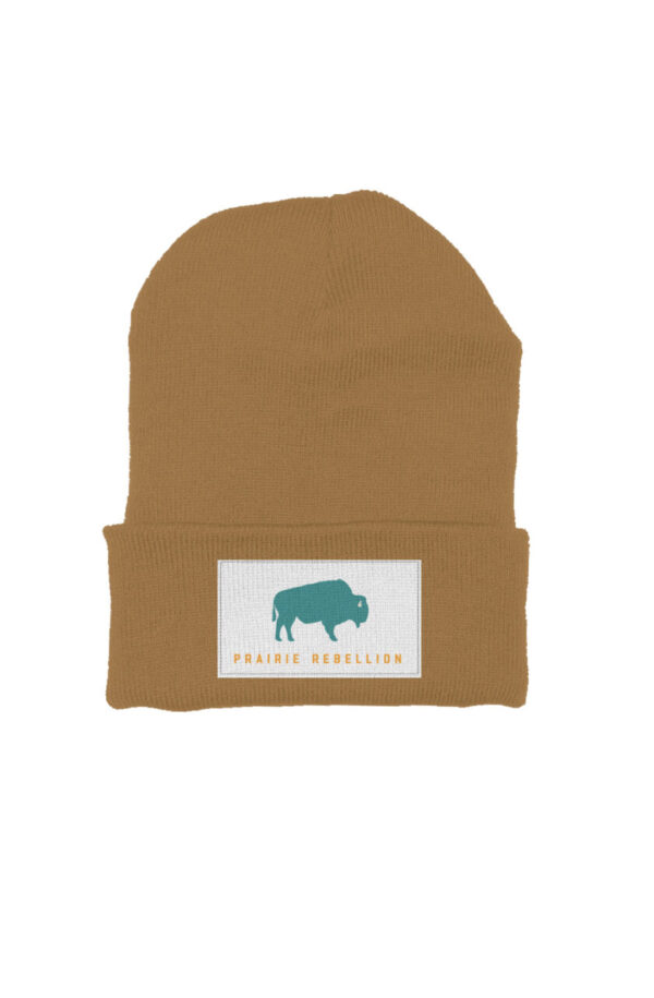 Teal Buffalo Patch Beanie