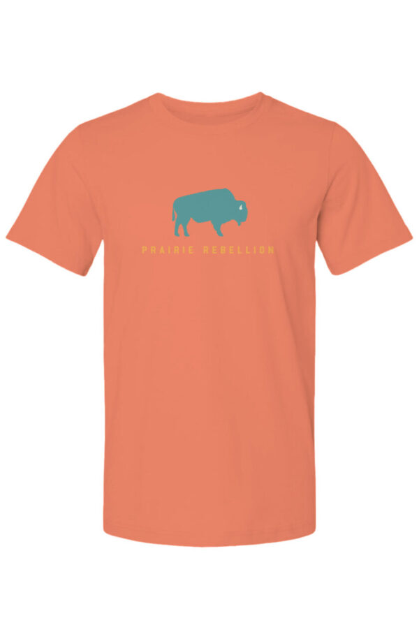 Teal Joyency Buffalo Shirt