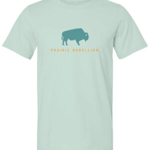 Teal Joyency Buffalo Shirt