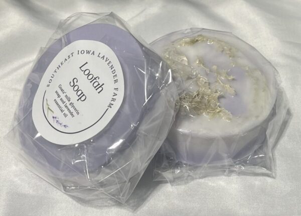 Lavender Goat Milk soap with Loofah (large round)