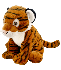 “Terry” The Tiger