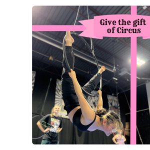 Circus/Aerial Class Gift Card