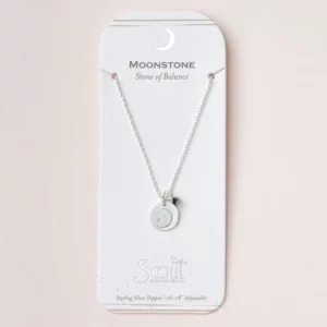 Stone Intention Charm Necklace – Moonstone/Silver