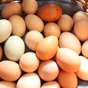 Farm-Fresh Pastured Eggs