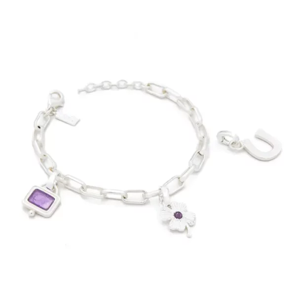 Interchangeable Charm Bracelet – Amethyst/Protection/Silver