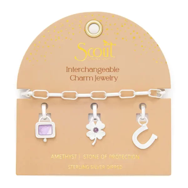 Interchangeable Charm Bracelet – Amethyst/Protection/Silver