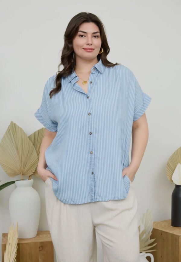 Heidi’s Striped Chambray Top