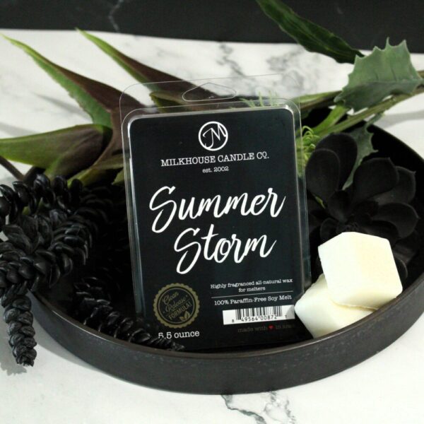 5.5 oz Wax Melts: Summer Storm