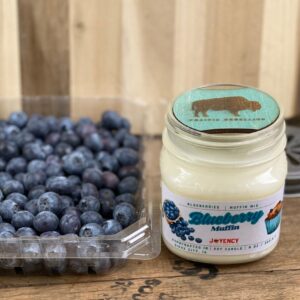 Blueberry Muffin | Fresh-Baked Blueberry Soy Candle