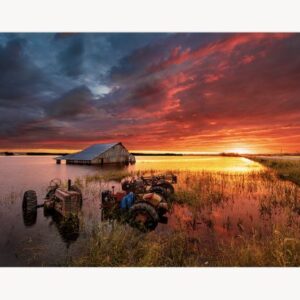 Shop Iowa “Beautiful Disaster” – 8×10 Fine Art Print (Matted to 11×14) “Beautiful Disaster” – 8×10 Fine Art Print (Matted to 11×14)