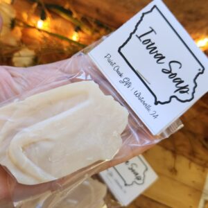 Iowa Novelty Soap