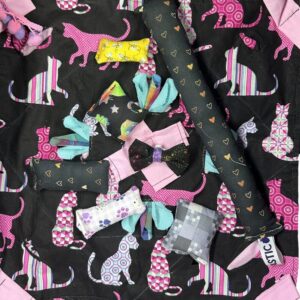 12″ Cat Treat Finder Activity Blanket