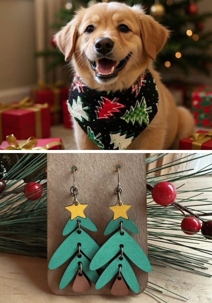 Orange category image