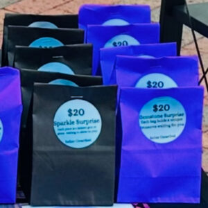 Shop Iowa $20 Mystery Bags $20 Mystery Bags