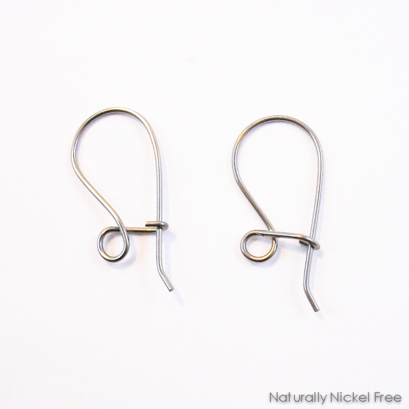 Niobium Loop n Latch Replacement Earwires – Shop Iowa