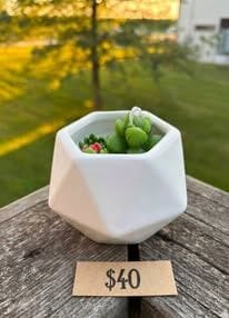 Shop Iowa TERRACOTTA ZEN TERRACOTTA ZEN