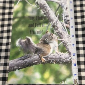 Journal