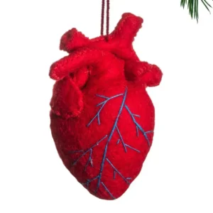 Anatomical Heart Ornament