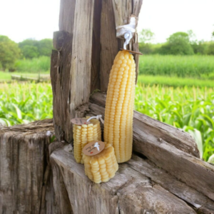Shop Iowa Corn Beeswax Candles Corn Beeswax Candles
